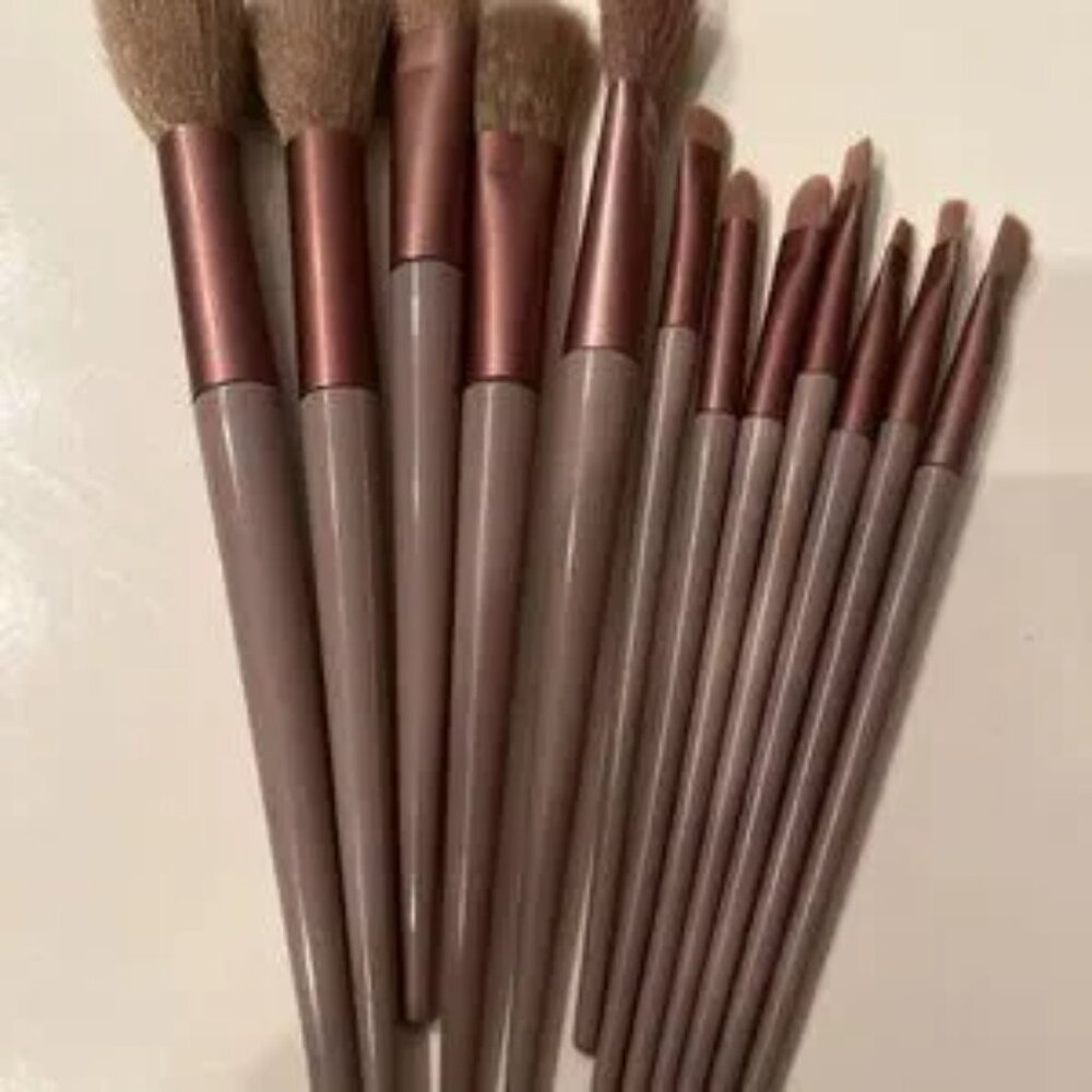 Make-Up Brushes (Set of 12) and Scalp Massage (new/h/x)